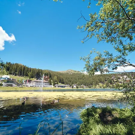 Padrun 3-weisshornbahn-arosa Zentrum-top Lage * أروسا